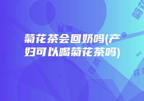 菊花茶会回奶吗(产妇可以喝菊花茶吗)