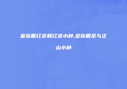 金骏眉红茶和红茶小种,金骏眉茶与正山小种