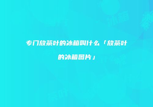 专门放茶叶的冰箱叫什么「放茶叶的冰箱图片」
