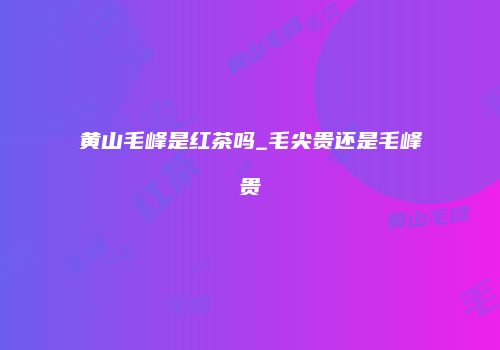 黄山毛峰是红茶吗_毛尖贵还是毛峰贵
