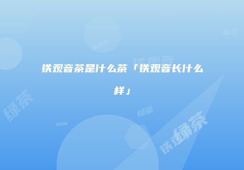 铁观音茶是什么茶「铁观音长什么样」