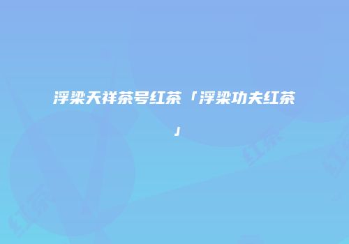 浮梁天祥茶号红茶「浮梁功夫红茶」