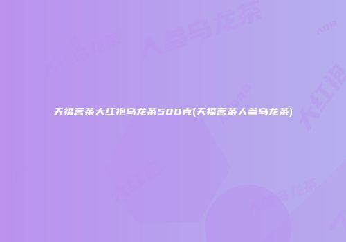天福茗茶大红袍乌龙茶500克(天福茗茶人参乌龙茶)