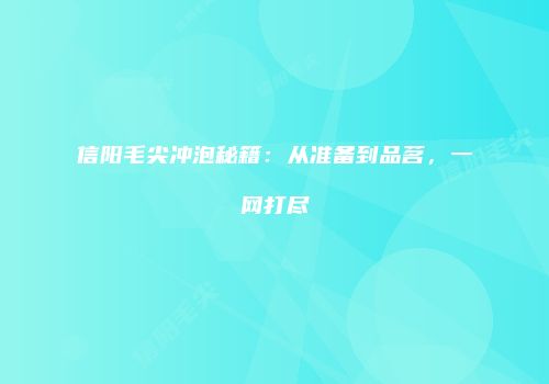 信阳毛尖冲泡秘籍：从准备到品茗，一网打尽