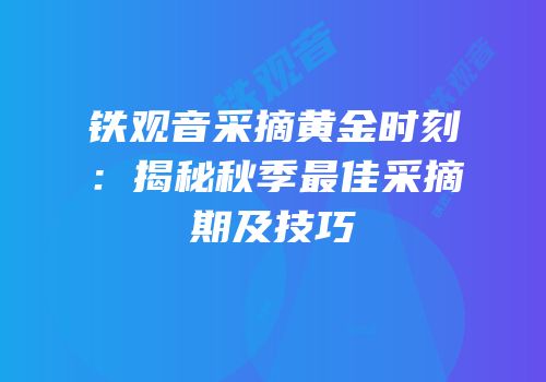 铁观音采摘黄金时刻：揭秘秋季最佳采摘期及技巧