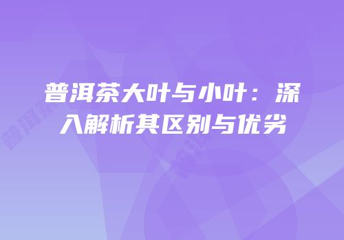 普洱茶大叶与小叶：深入解析其区别与优劣