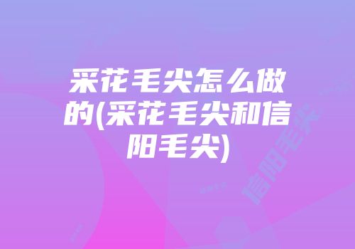 采花毛尖怎么做的(采花毛尖和信阳毛尖)