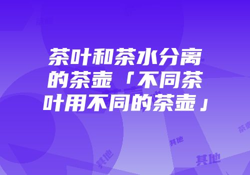 茶叶和茶水分离的茶壶「不同茶叶用不同的茶壶」