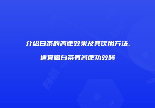 介绍白茶的减肥效果及其饮用方法,适宜喝白茶有减肥功效吗