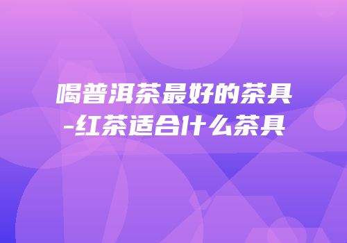 喝普洱茶最好的茶具-红茶适合什么茶具