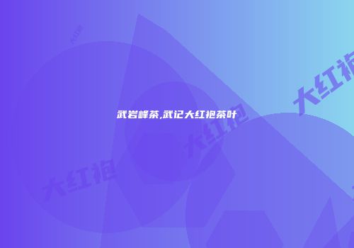 武岩峰茶,武记大红袍茶叶