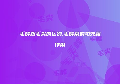 毛峰跟毛尖的区别,毛峰茶的功效和作用