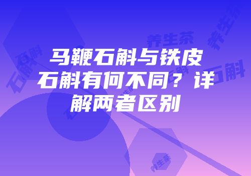 马鞭石斛与铁皮石斛有何不同？详解两者区别