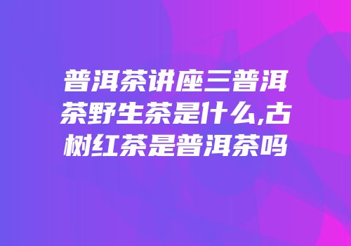 普洱茶讲座三普洱茶野生茶是什么,古树红茶是普洱茶吗