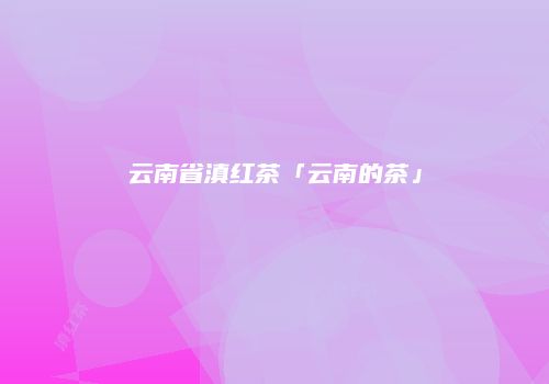 云南省滇红茶「云南的茶」