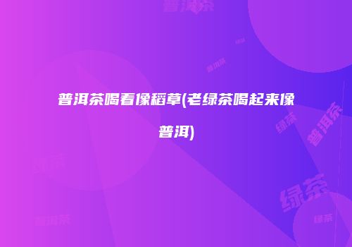 普洱茶喝着像稻草(老绿茶喝起来像普洱)