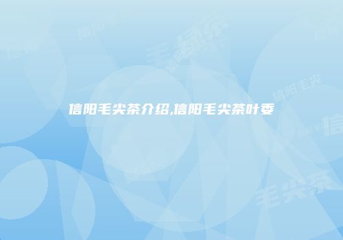 信阳毛尖茶介绍,信阳毛尖茶叶委