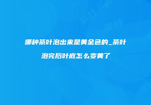 哪种茶叶泡出来是黄金色的_茶叶泡完后叶底怎么变黄了