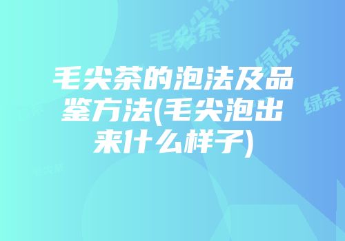 毛尖茶的泡法及品鉴方法(毛尖泡出来什么样子)