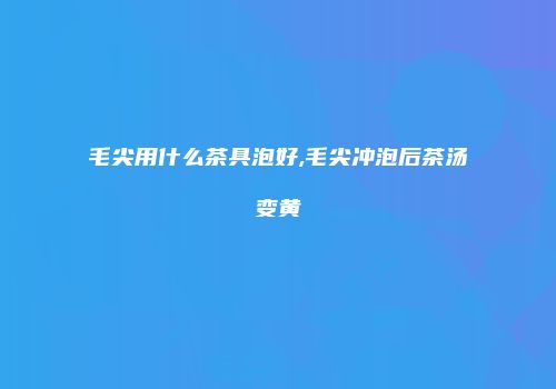 毛尖用什么茶具泡好,毛尖冲泡后茶汤变黄