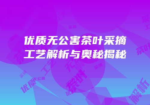 优质无公害茶叶采摘工艺解析与奥秘揭秘