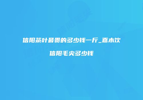信阳茶叶最贵的多少钱一斤_嘉木饮信阳毛尖多少钱
