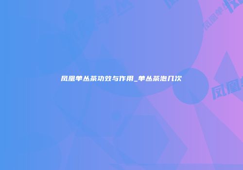 凤凰单丛茶功效与作用_单丛茶泡几次