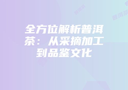 全方位解析普洱茶：从采摘加工到品鉴文化
