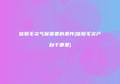 信阳毛尖气候需要的条件(信阳毛尖产自于哪里)