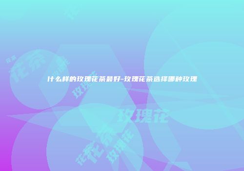 什么样的玫瑰花茶最好-玫瑰花茶选择哪种玫瑰