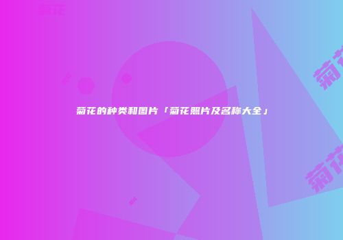 菊花的种类和图片「菊花照片及名称大全」