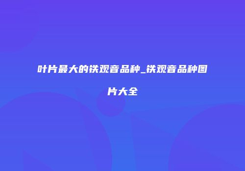 叶片最大的铁观音品种_铁观音品种图片大全