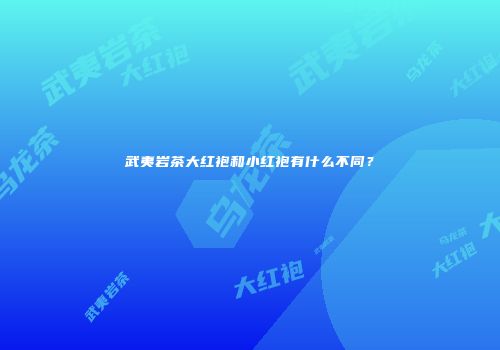 武夷岩茶大红袍和小红袍有什么不同？