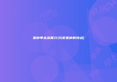 宋种单丛茶简介(乌岽宋种的特点)