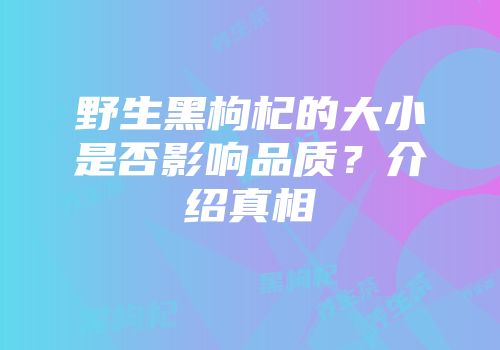野生黑枸杞的大小是否影响品质？介绍真相