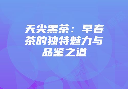 天尖黑茶：早春茶的独特魅力与品鉴之道