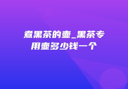 煮黑茶的壶_黑茶专用壶多少钱一个