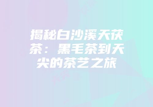 揭秘白沙溪天茯茶：黑毛茶到天尖的茶艺之旅