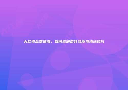 大红袍品鉴指南：如何鉴别茶叶品质与挑选技巧