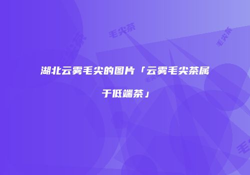 湖北云雾毛尖的图片「云雾毛尖茶属于低端茶」