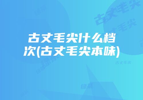 古丈毛尖什么档次(古丈毛尖本味)