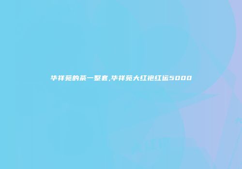 华祥苑的茶一整套,华祥苑大红袍红运5000