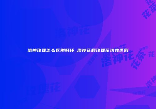洛神玫瑰怎么区别好坏_洛神花和玫瑰花功效区别