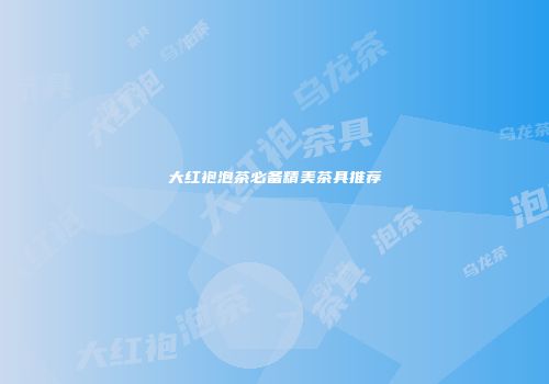 大红袍泡茶必备精美茶具推荐