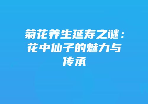 菊花养生延寿之谜：花中仙子的魅力与传承