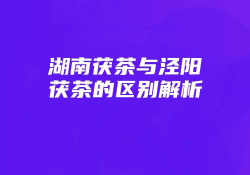湖南茯茶与泾阳茯茶的区别解析