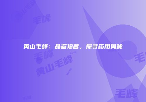 黄山毛峰：品鉴珍茗，探寻药用奥秘