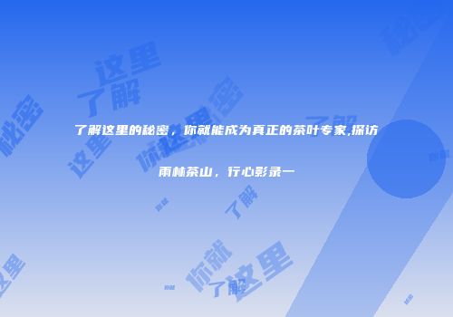 了解这里的秘密，你就能成为真正的茶叶专家,探访雨林茶山，行心影录一