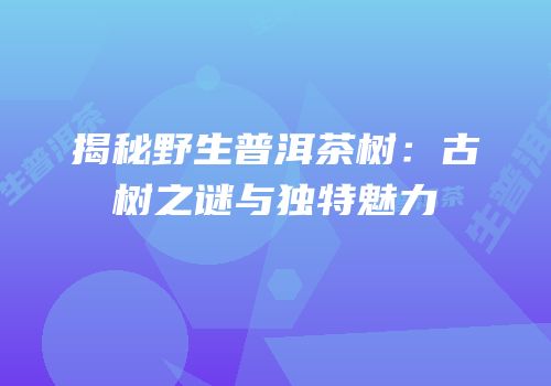 揭秘野生普洱茶树：古树之谜与独特魅力