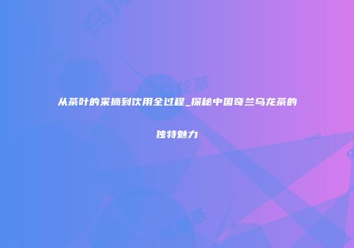 从茶叶的采摘到饮用全过程_探秘中国奇兰乌龙茶的独特魅力